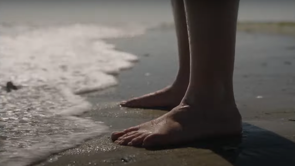 A Pulsão e a Culpa 6 A Baleia - Filme 2022 - AdoroCinema