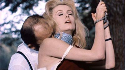 A Fantasia, o Desejo e o Gozo. 2 belle de jour