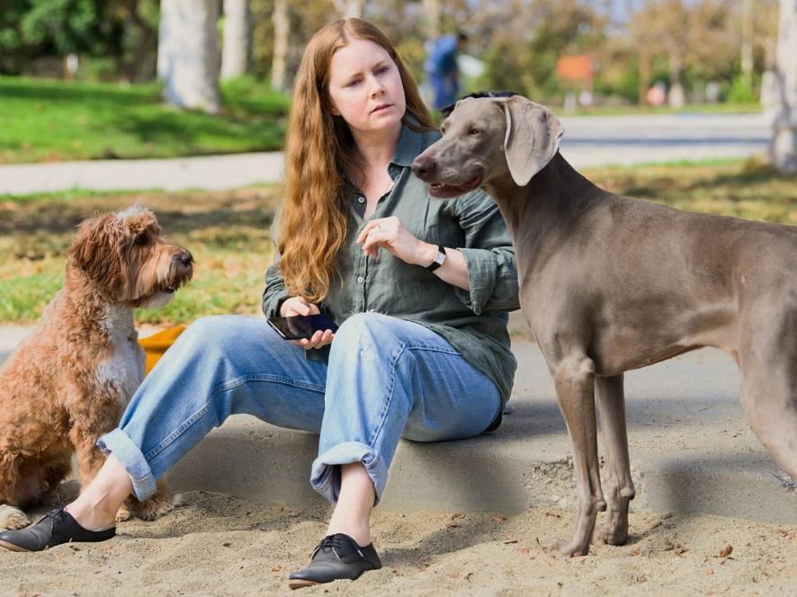 A Mãe, entre Natureza e Cultura 2 Amy Adams passa por maternidade peculiar na afiada... | VEJA