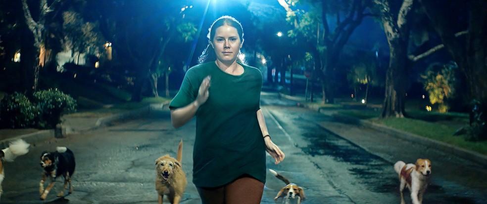 A Mãe, entre Natureza e Cultura 4 10 cenas do filme 'Canina' que toda mãe vai se identificar